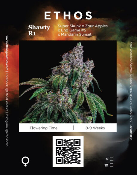 Ethos Genetics - Shawty R1 - Image 2