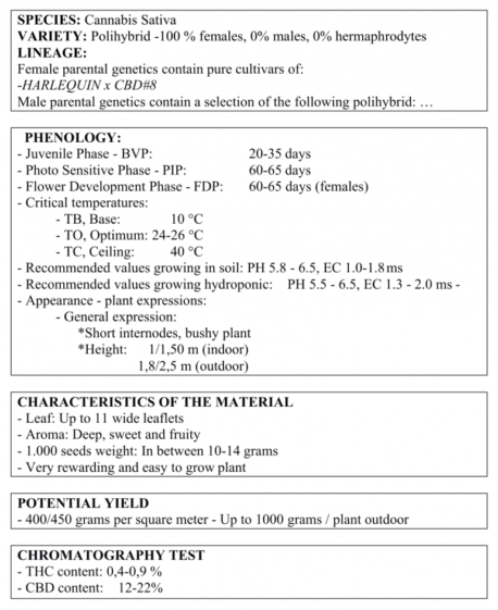 Trophy Genetics - CBD 26:1 - Image 2